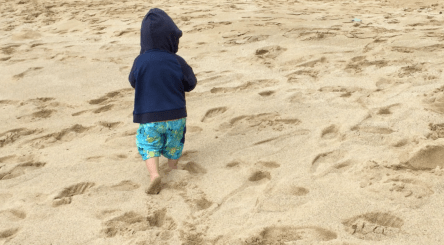 screen-shot-2016-10-10-at-10-23-49-pm